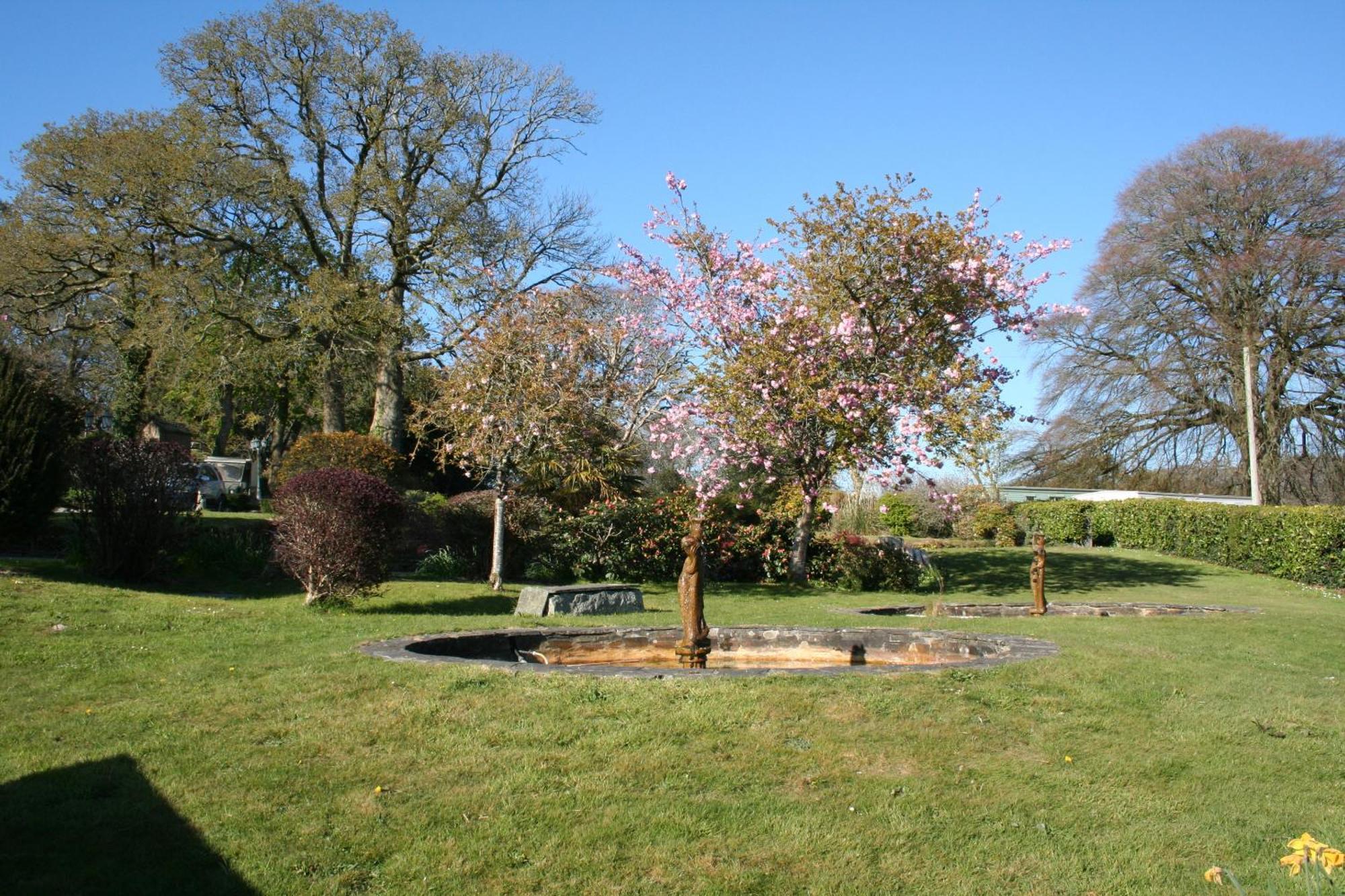 Great Trethew Manor Hotel & Self Catering Lodges 利斯卡德 外观 照片