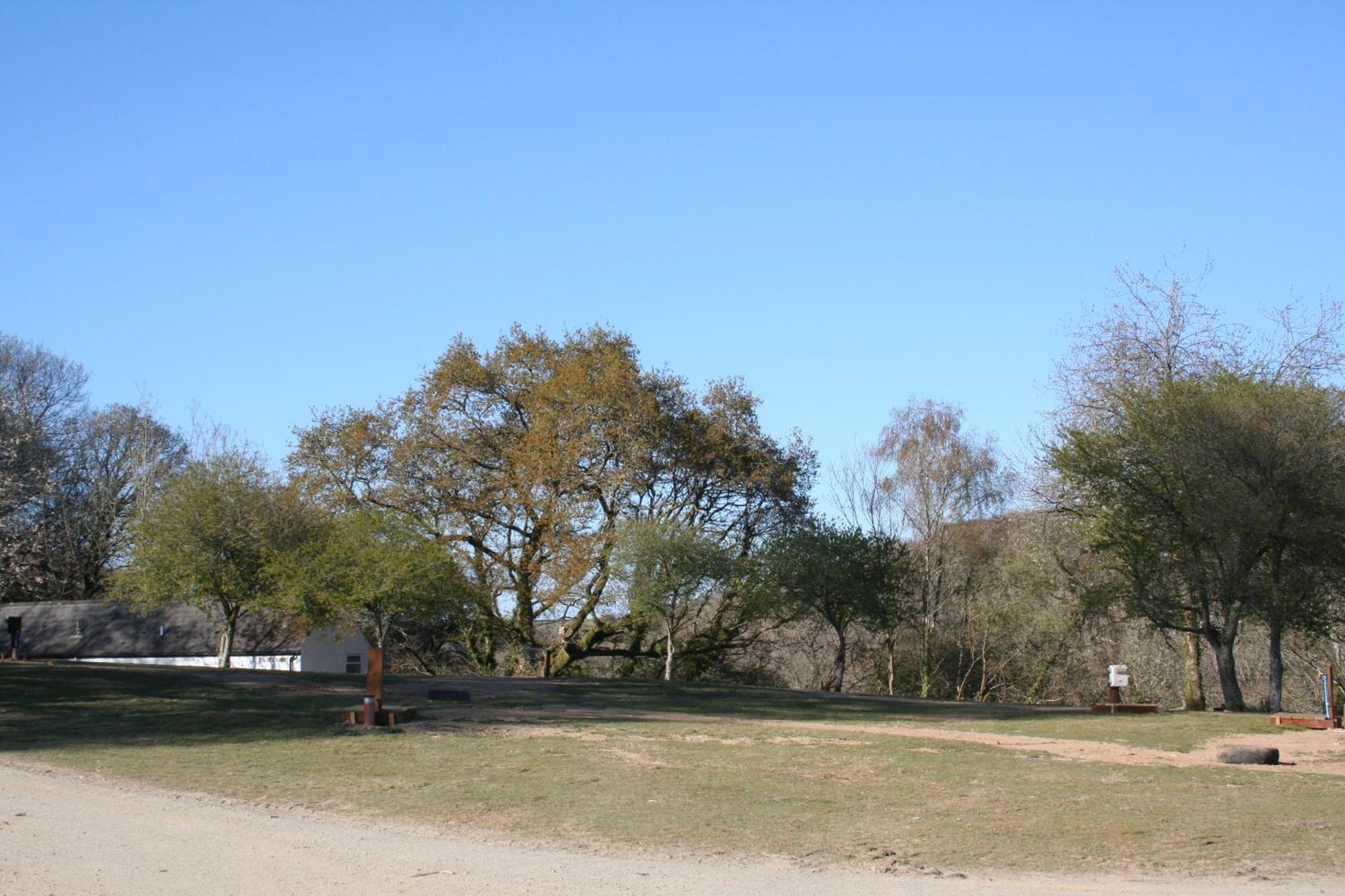 Great Trethew Manor Hotel & Self Catering Lodges 利斯卡德 外观 照片